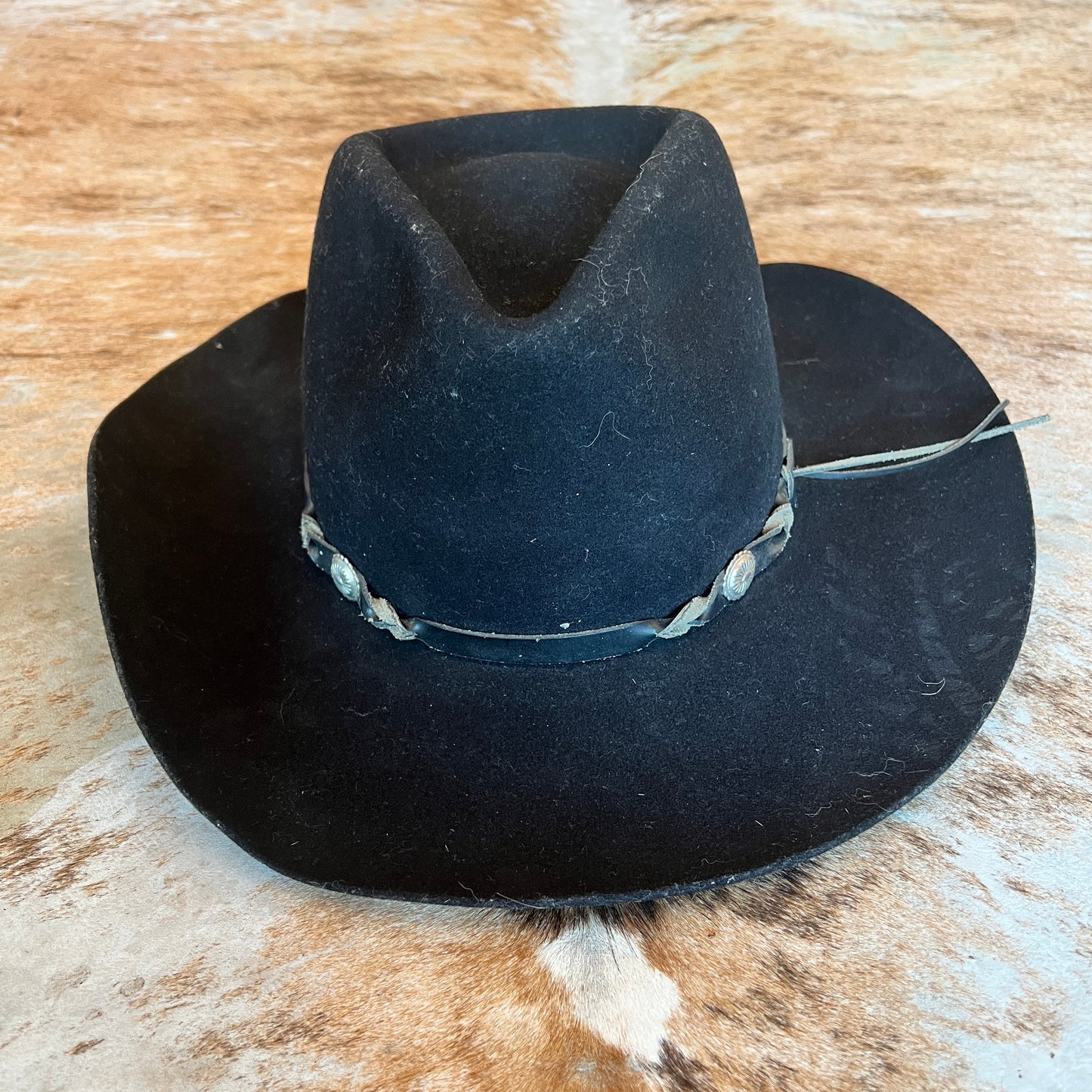 Western Hat Bailey