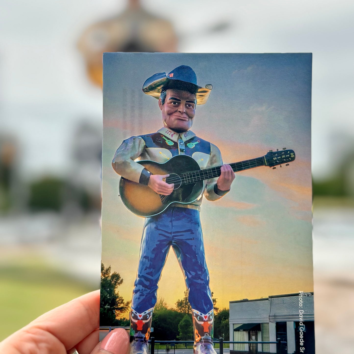 Cowboy Bob Postcard