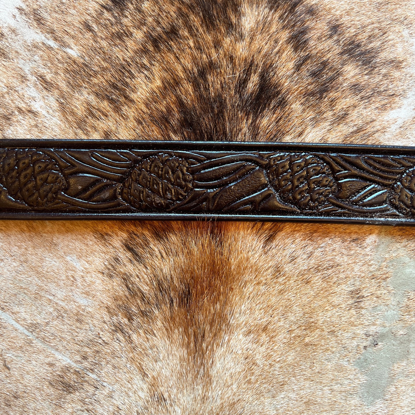 Belt Embossed Acorn