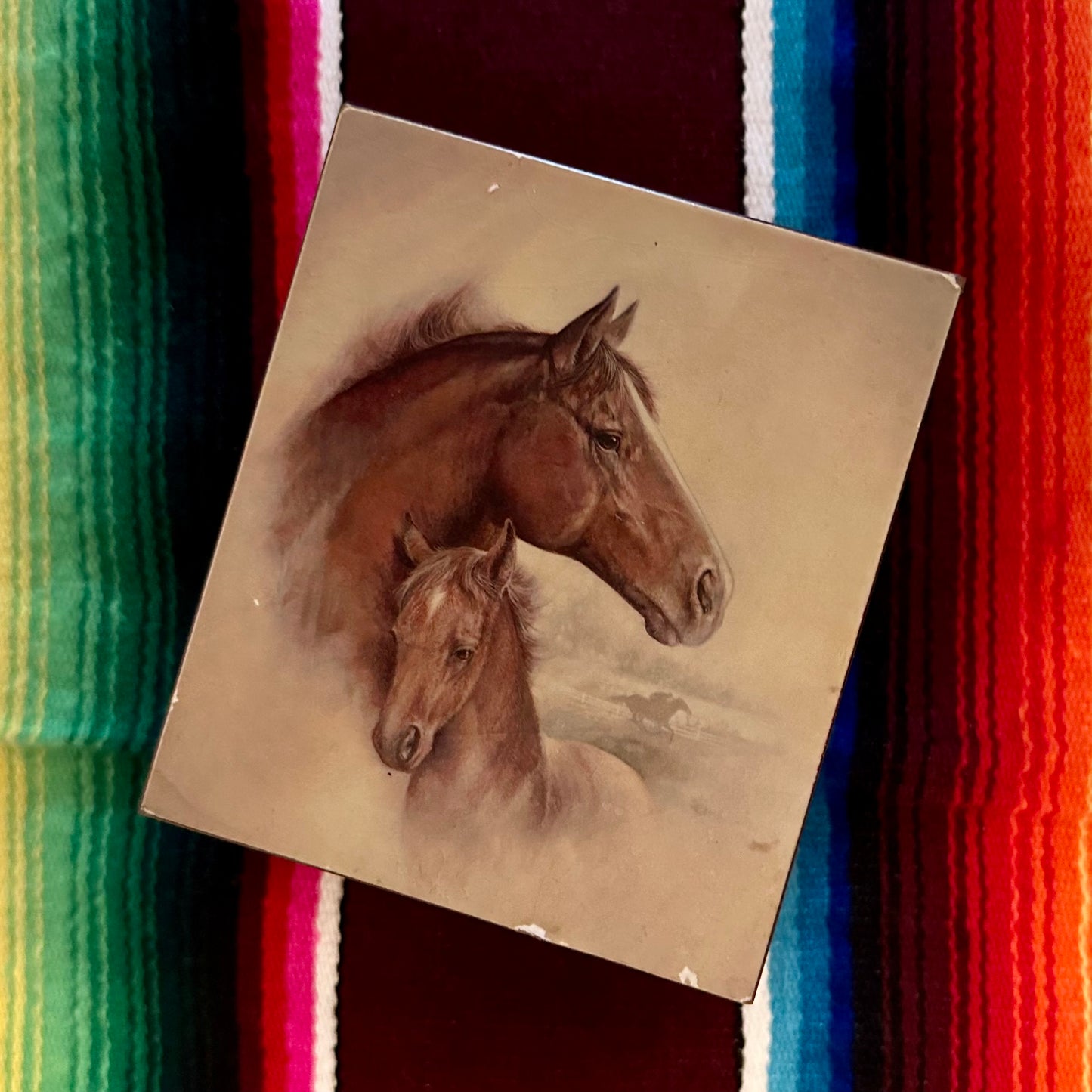Horse Box