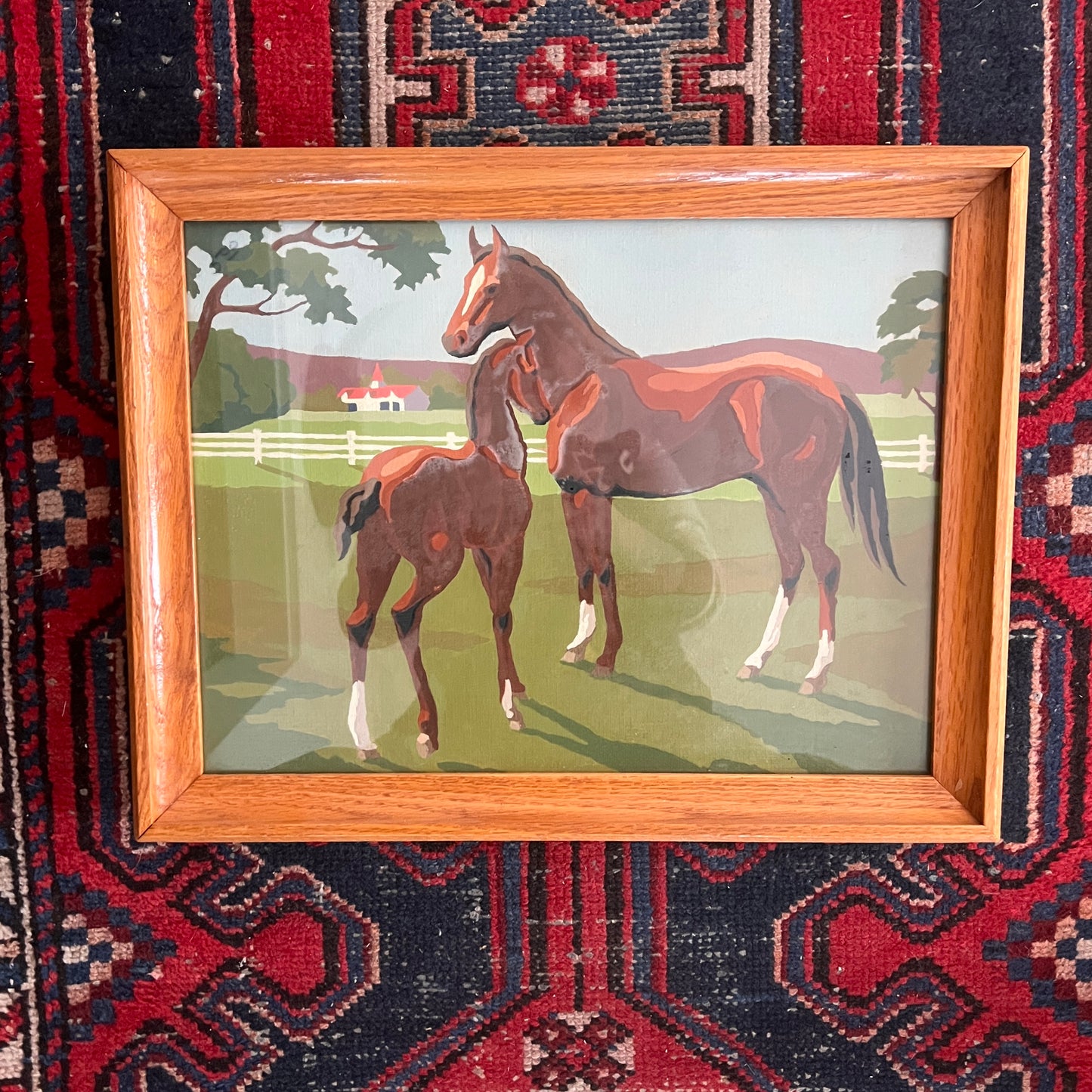 Art Horse Paint by Number
