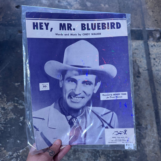 Music Book Hey, Mr. Bluebird
