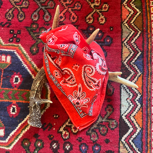 Bandana Paisley