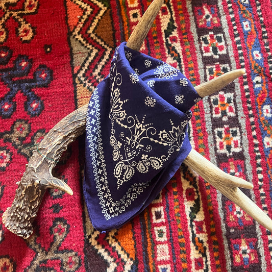 Bandana Paisley & Flower